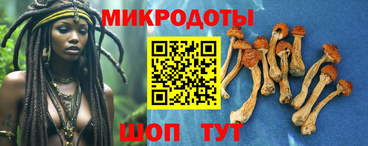  Cocaine Кириши