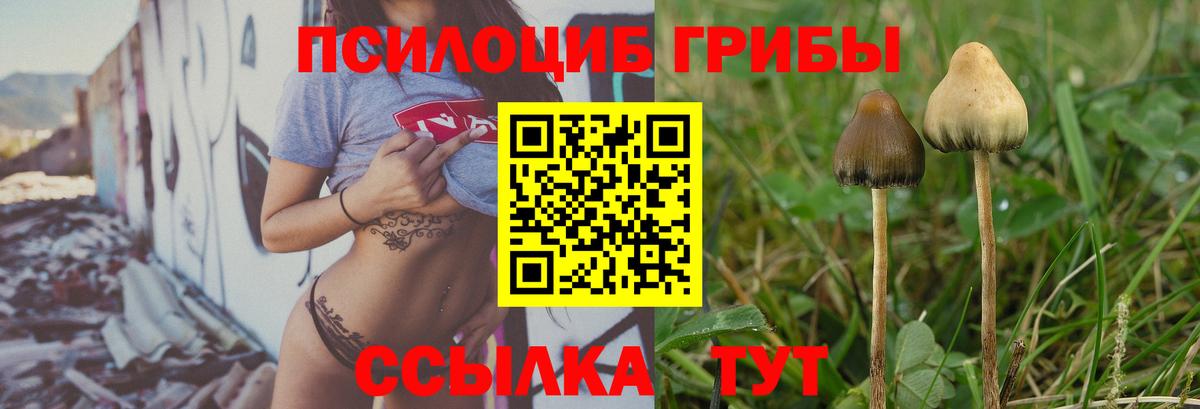 Галлюциногенные грибы Psilocybine cubensis Кириши